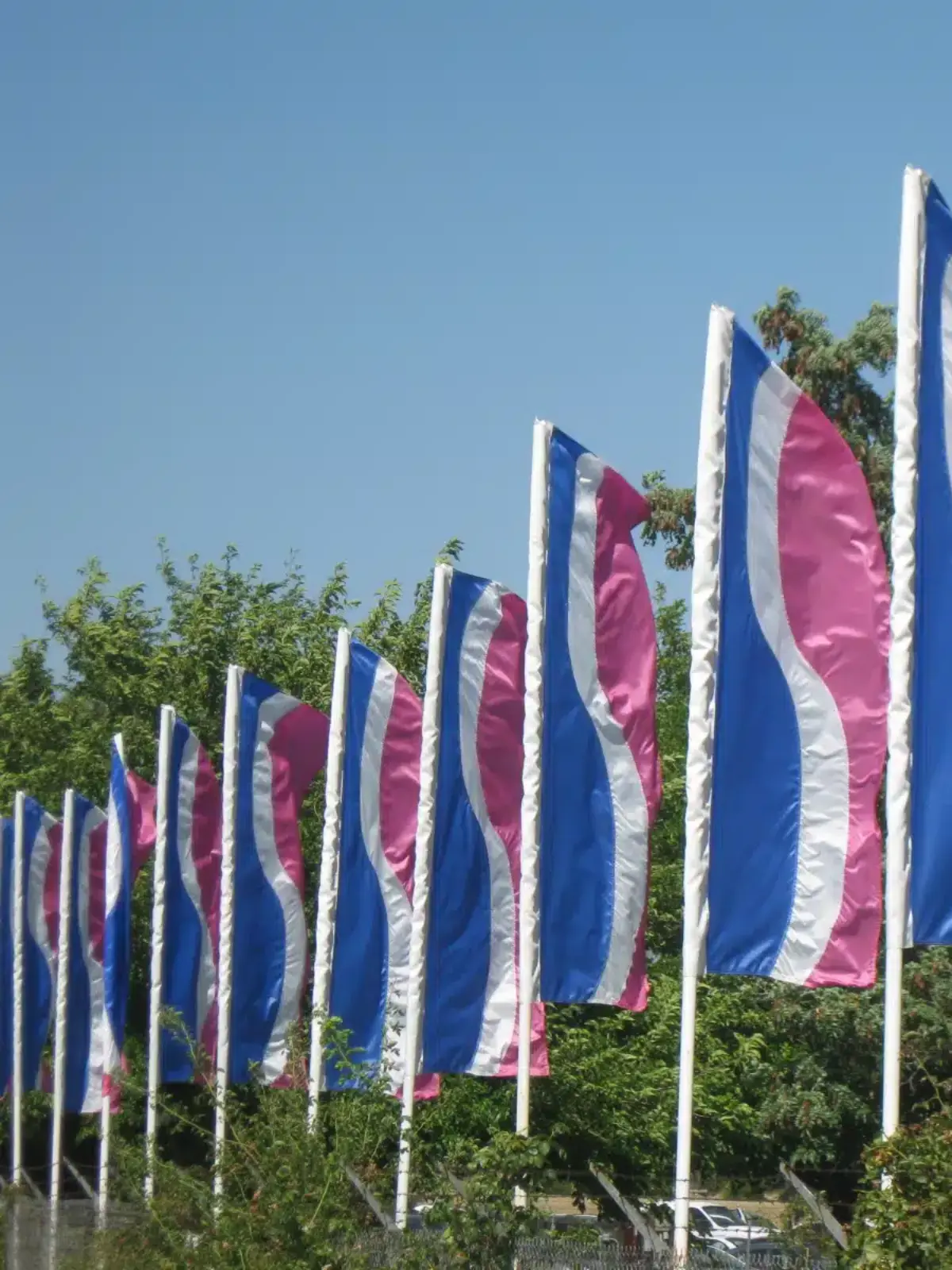FLAG_BANNER_CPITX_05