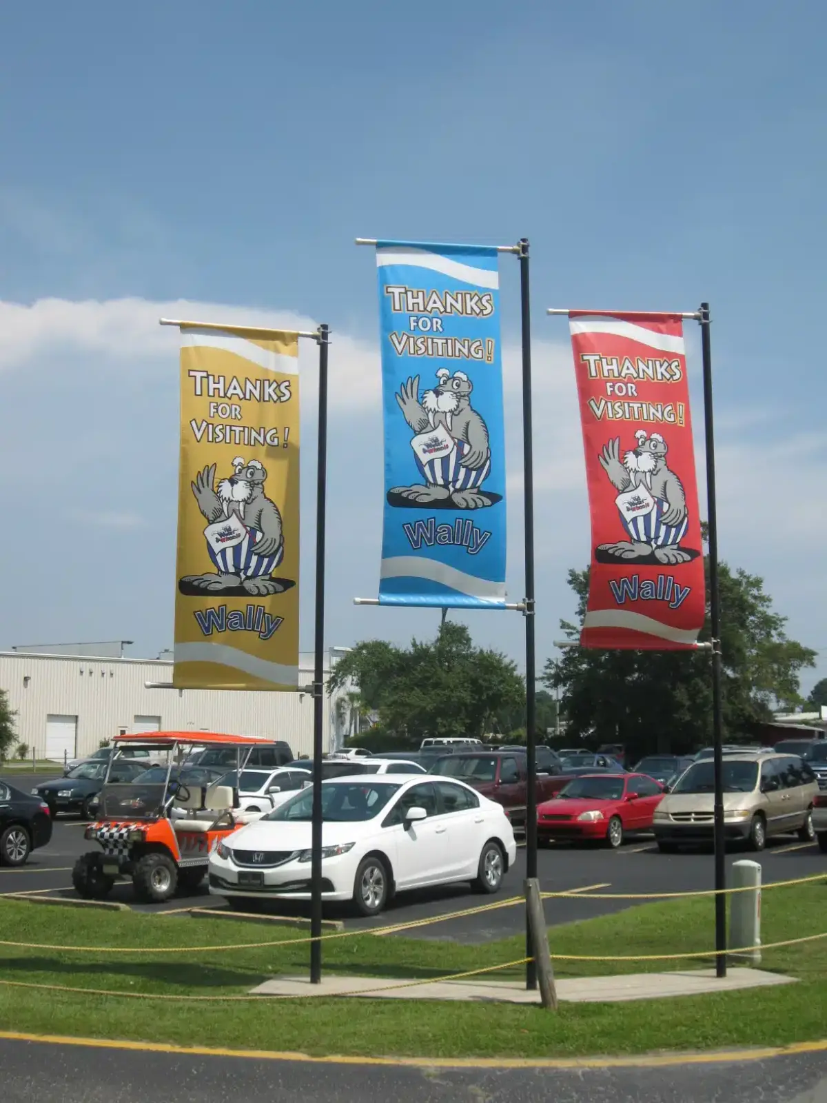 SINGLE_FLAGS_CPITX_03